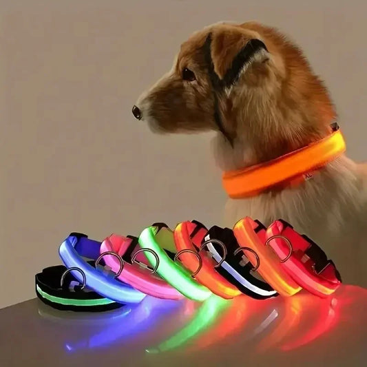 💡 Collar LED Luminoso para Perros – Seguridad y Estilo Nocturno