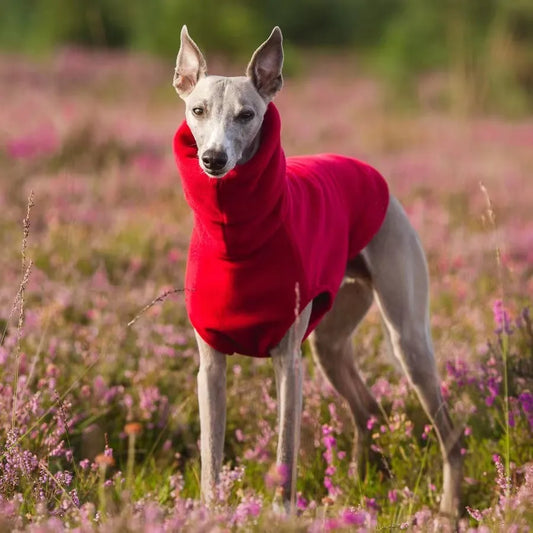 Chaleco de invierno de forro polar ultrasuave para Whippet e Italian Greyhound